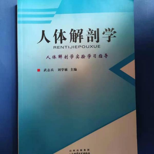人體局部解剖學(xué)