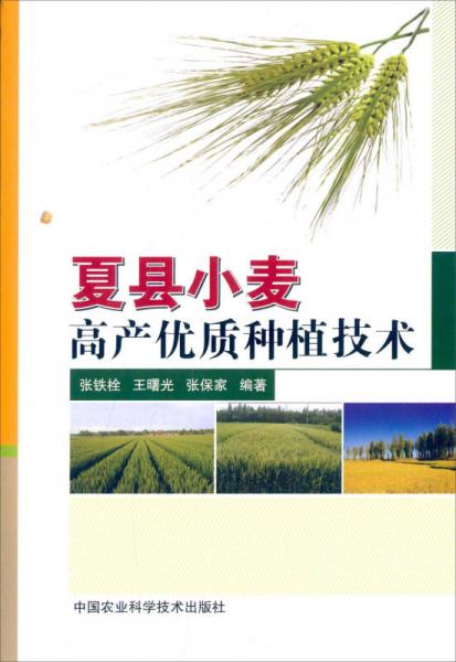 夏縣小麥高產(chǎn)優(yōu)質種植技術