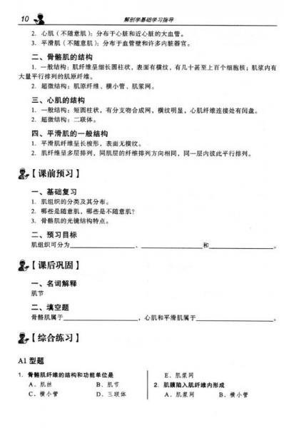 解剖學(xué)基礎(chǔ)學(xué)習(xí)指導(dǎo)