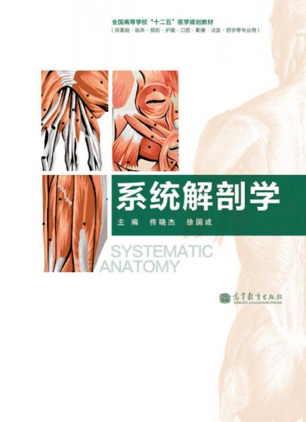 系统解剖学（供基础临床预防护理口腔影像法医药学等专业用）