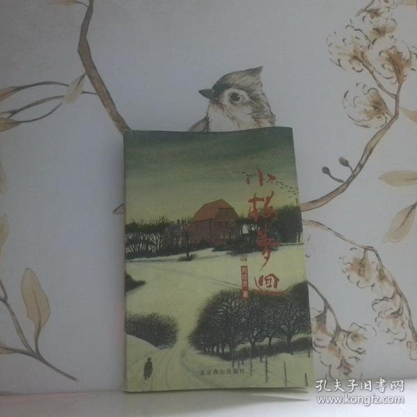 小樓夢回