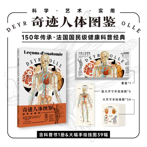 奇迹人体图鉴 全彩挂图版