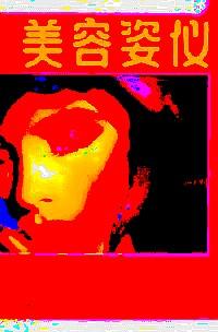美容姿儀