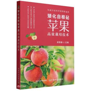 矮化自根砧蘋果高效栽培技術(shù)