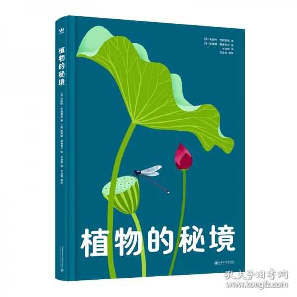 植物的秘境（奇想國童書）玩趣十足的互動翻翻，匠心紙藝展現(xiàn)驚艷的自然奇觀