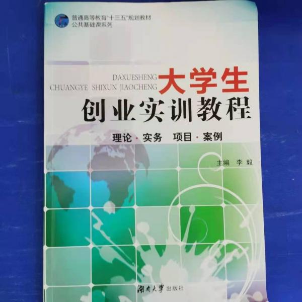 大學(xué)生創(chuàng)業(yè)實(shí)訓(xùn)教程 [李毅, 段國(guó)華, 主編]