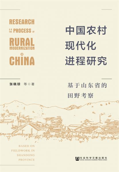 中國農(nóng)村現(xiàn)代化進程研究
