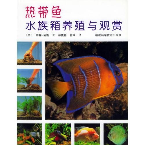 热带鱼水族箱养殖与观赏