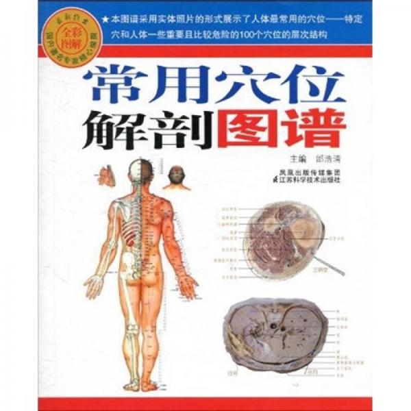 常用穴位解剖圖譜（全彩圖解）