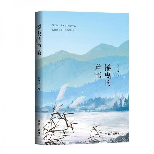 搖曳的蘆葦
