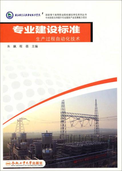 國家骨干高等職業(yè)院校建設(shè)單位系列叢書：專業(yè)建設(shè)標準生產(chǎn)過程自動化技術(shù)