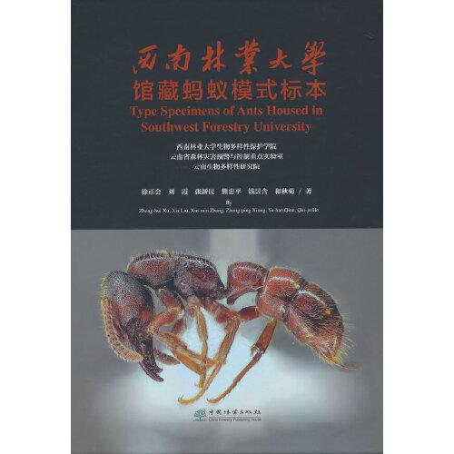 西南林業(yè)大學(xué)館藏螞蟻模式標(biāo)本(精)