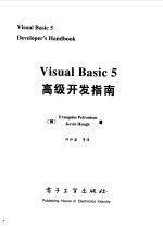 Visual Basic 5高级开发指南