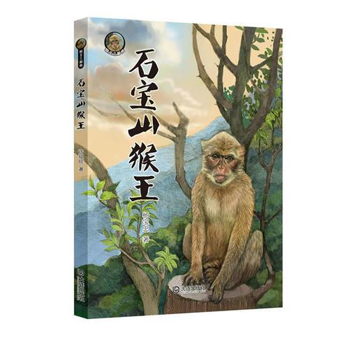 猴王三部曲·石寶山猴王