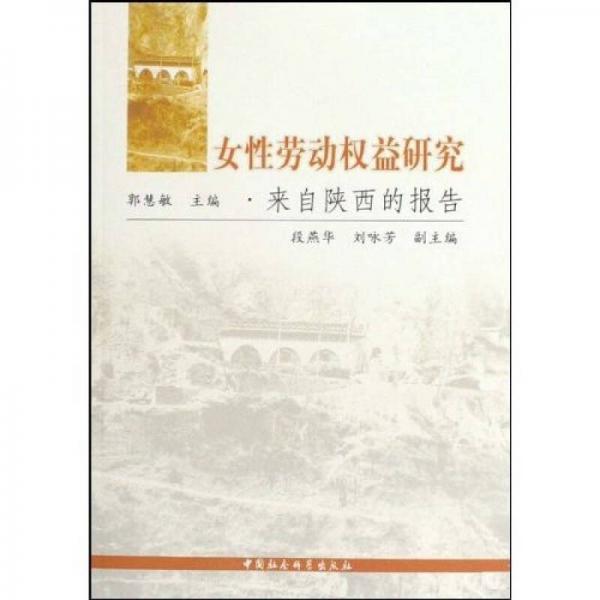 女性勞動(dòng)權(quán)益研究：來自陜西的報(bào)告