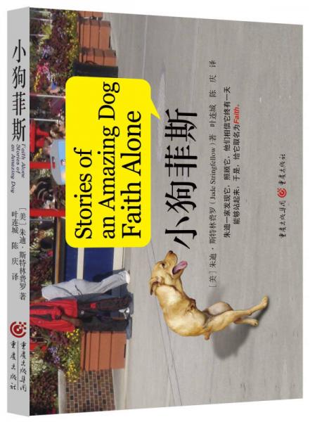小狗菲斯