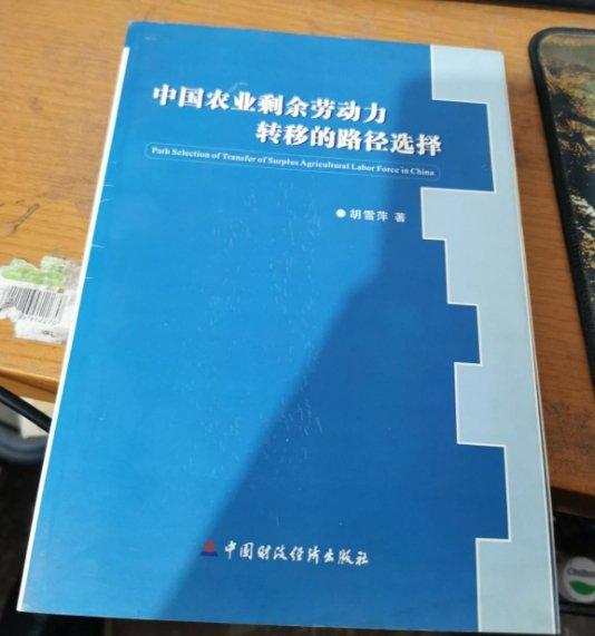 中國農(nóng)業(yè)剩余勞動力轉(zhuǎn)移的路徑選擇