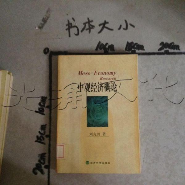 中觀經(jīng)濟(jì)概論