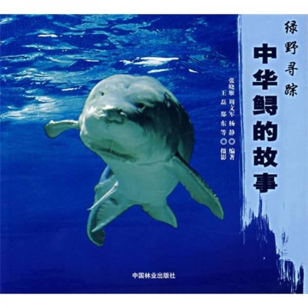 綠野尋蹤：中華鱘的故事