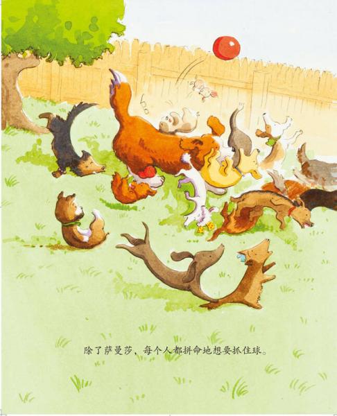 儿童情绪管理与性格培养绘本--班里来了一只猫：学会与人相处的故事