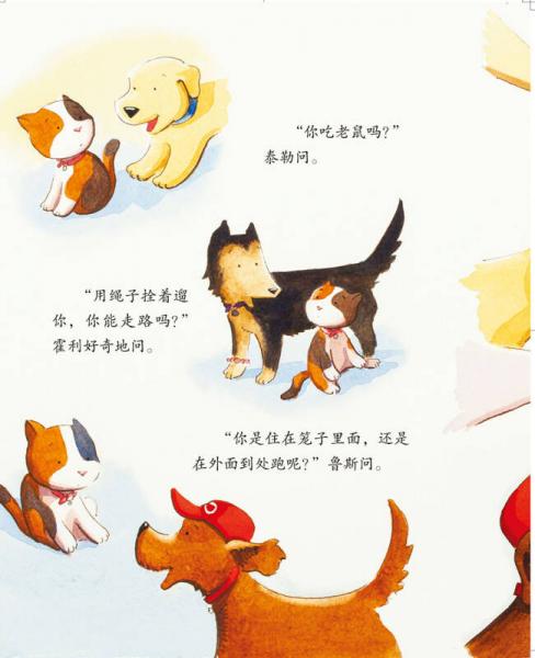 儿童情绪管理与性格培养绘本--班里来了一只猫：学会与人相处的故事