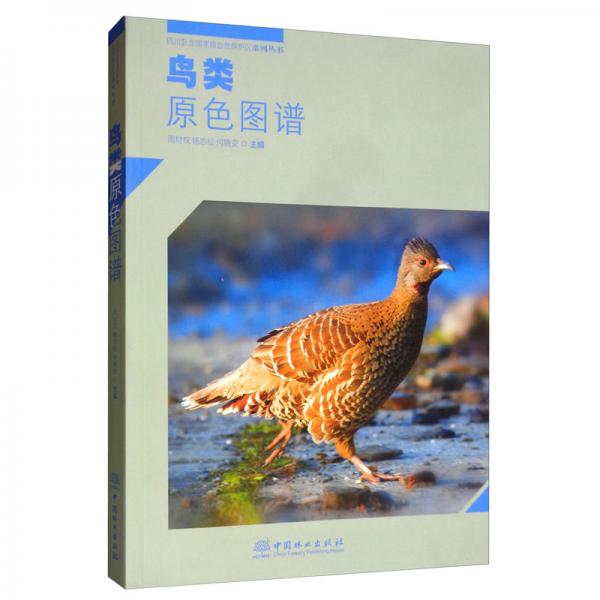 鸟类原色图谱/四川卧龙国家级自然保护区系列丛书
