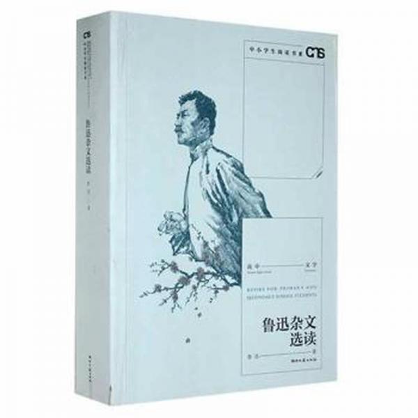 鲁迅杂文杂文集