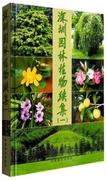 深圳園林植物續(xù)集（一）