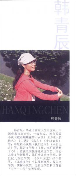 盛世繁星 中国儿童文学大奖获奖作家书系：在云端