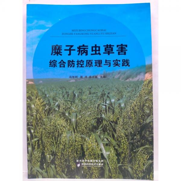 糜子病蟲草害綜合防控原理與實踐馮佰利，屈洋，高小麗主編陜西科學(xué)技術(shù)9787536979505