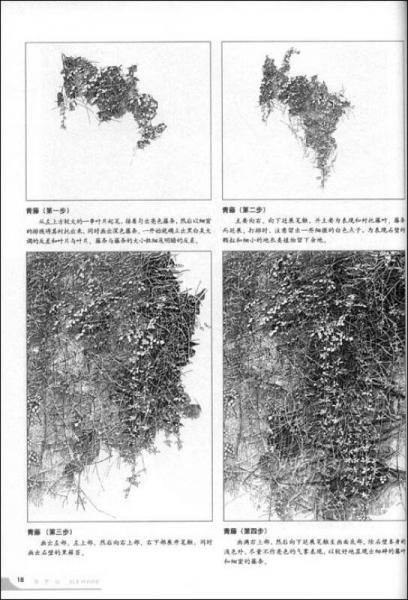 學(xué)藝坊：鋼筆植物寫生技法