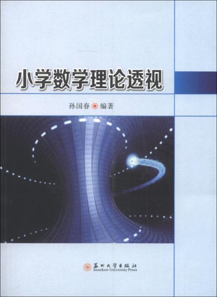 小學數(shù)學理論透視