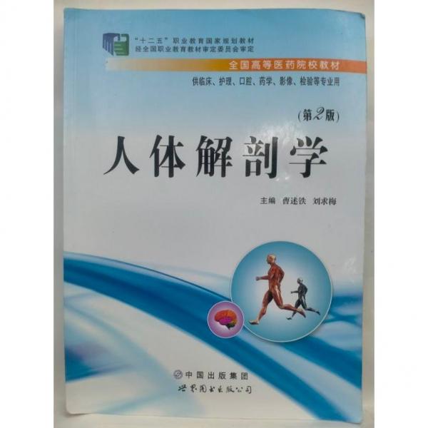 人體解剖學(xué)