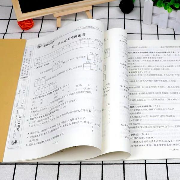 2019期末冲刺100分六年级语文下册/期末冲刺优选卷