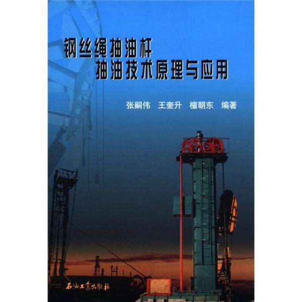 鋼絲繩抽油桿抽油技術(shù)的原理與應用