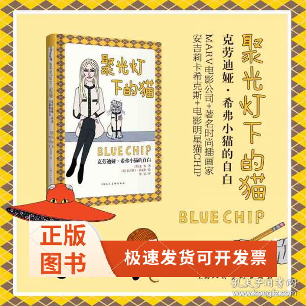 聚光灯下的猫:克劳迪娅·希弗小猫的自白