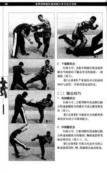 世界特种部队高级格斗术与功力训练