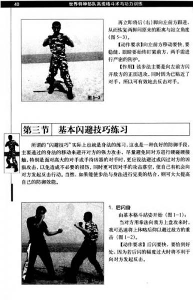 世界特种部队高级格斗术与功力训练