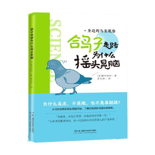 身邊的鳥類觀察：鴿子走路為什么搖頭晃腦