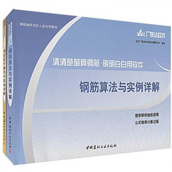 鋼筋算法與實(shí)例詳解（全2冊）