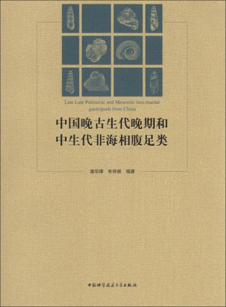 中国晚古生代晚期和中生代非海相腹足类