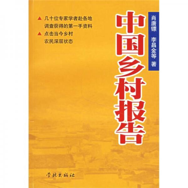 中国乡村报告：政府行为与乡村建设研究