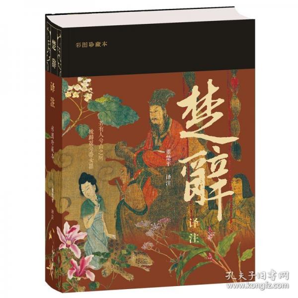 楚辭譯注