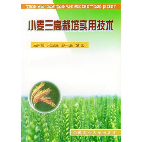小麦三高栽培实用技术