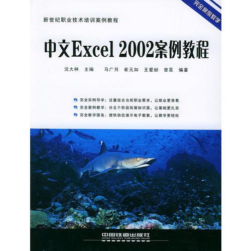 中文Excel 2002案例教程——新世紀(jì)職業(yè)技術(shù)培訓(xùn)案例教程