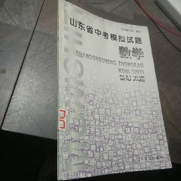 中考模拟数学