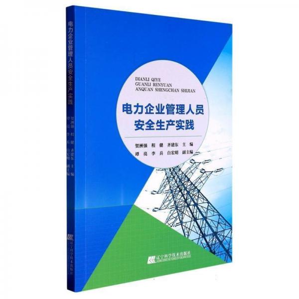 電力企業(yè)管理人員安全生產(chǎn)實(shí)踐 財(cái)政金融 賀洲強(qiáng)，程健，齊建東主編 新華正版
