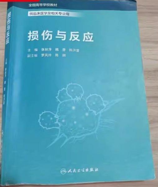 損傷與反應(yīng)
