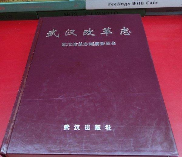 武漢改革志