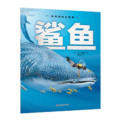 神奇動(dòng)物在哪里-鯊魚